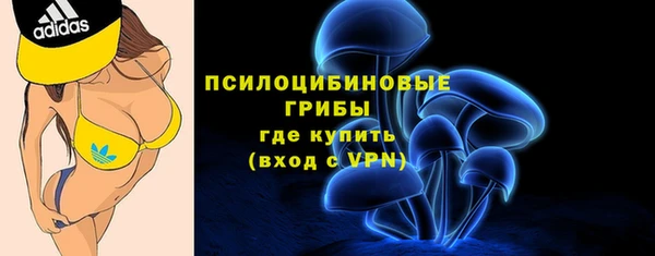 МДПВ Козловка