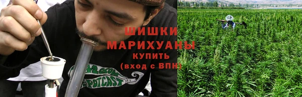mdpv Козельск
