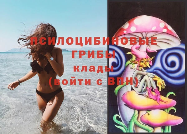 МДПВ Козловка