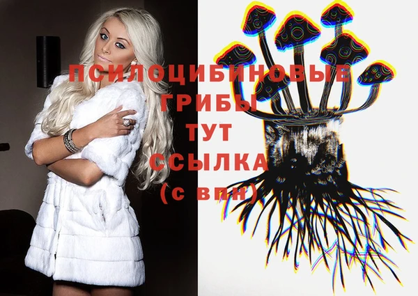 МДПВ Козловка