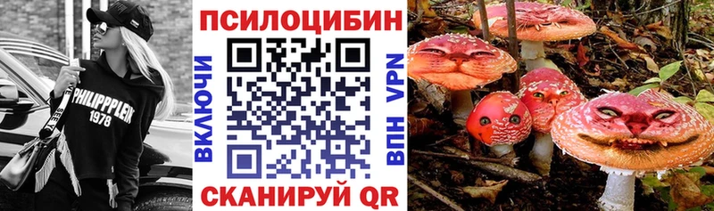Галлюциногенные грибы Psilocybe Бронницы