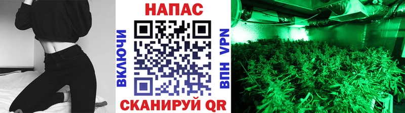 Купить закладки  Бронницы  МАРИХУАНА план 